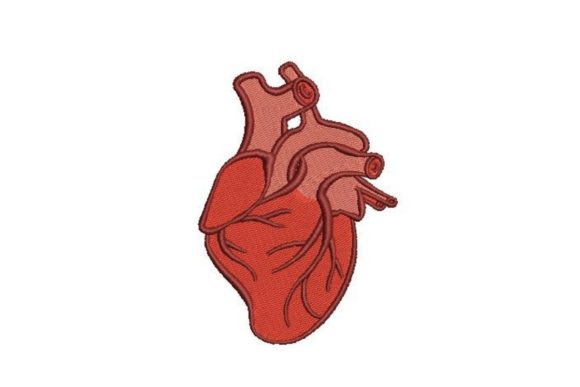 Anatomically Correct Heart: A Designer’s Review