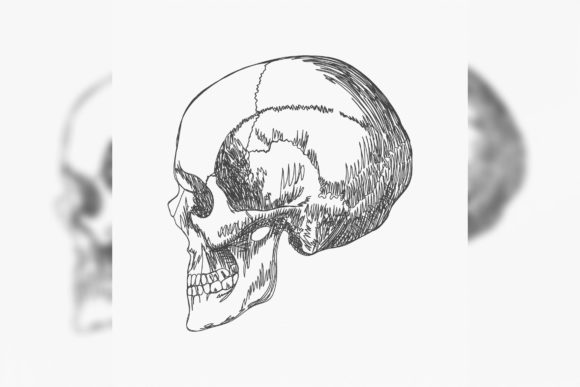 Cranium One Line: A Designer’s Review for Brand Merch