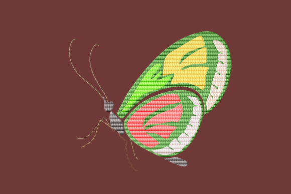 Green Strong Butterfly: A Designer’s Review for Business Merch