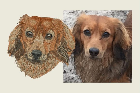 Reviewing the Longhaired Dachshund Embroidery Design